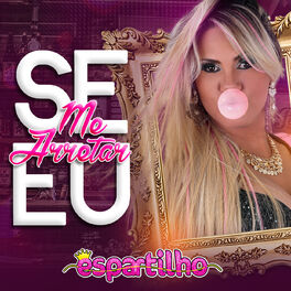 Album cover of Se Eu Me Arretar