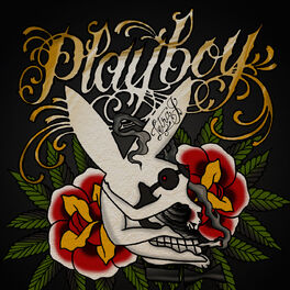 Album cover of Playboy