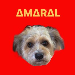 Album cover of Amaral