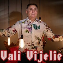 Album cover of Vali Vijelie
