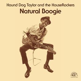 Album cover of Natural Boogie (Remastered)