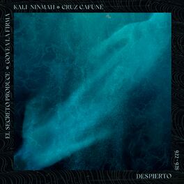 Album cover of Despierto (feat. Cruz Cafuné)