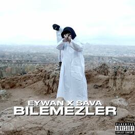 Album cover of BILEMEZLER