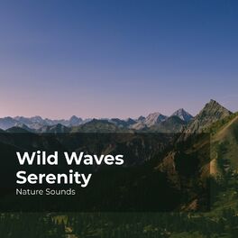 Album cover of Wild Waves Serenity