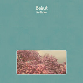 Album cover of No No No