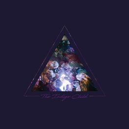 Album cover of The Indigo Child