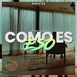 Album cover of Como Es Eso (Remix)
