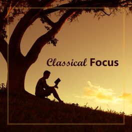 Album cover of Classical Focus: Tchaikovsky