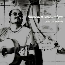 Album cover of Flamenco entre Amigos