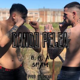 Album cover of DANDO PELEA
