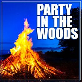 Album cover of Party In The Woods