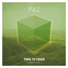 Album cover of Serie Ambientes: Paz