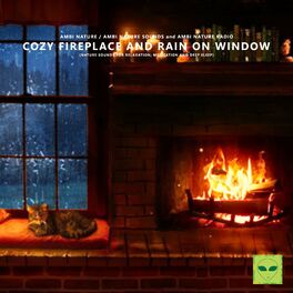 Album cover of Cozy Fireplace and Rain on Window (Nature Sounds for Relaxation, Meditation and Deep Sleep)