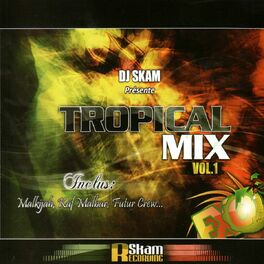 Album cover of DJ Skam présente Tropical Mix, vol. 1