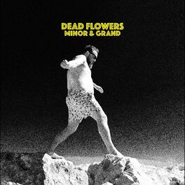 Album cover of Minor & Grand