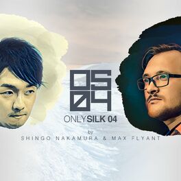 Album cover of Only Silk 04