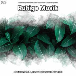 Album cover of #01 Ruhige Musik als Einschlafhilfe, zum Abschalten und für Reiki