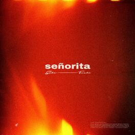 Album cover of Señorita (feat. Fouli)