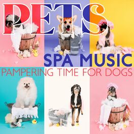 Dog therapy music for sales stress