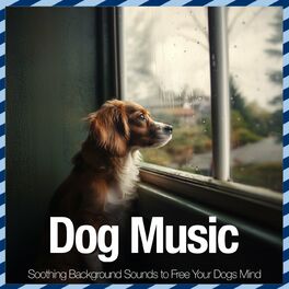 Dog music dreams and sales relaxmydog soothing music for dogs