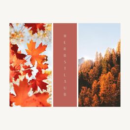 Album cover of Herbstlaub: Neue und schöne Klavierstücke zur Besinnung