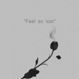 Album cover of feel so lost