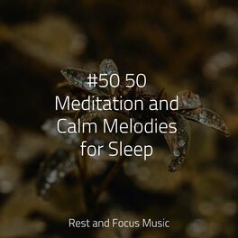 Album cover of #50 50 Meditation and Calm Melodies for Sleep