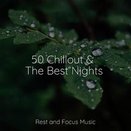 Album cover of 50 Chillout & The Best Nights