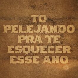 Album cover of To Pelejando Pra Te Esquecer Esse Ano