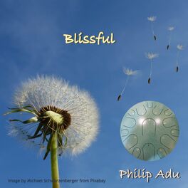 Album cover of Blissful