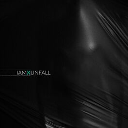 Album cover of Unfall
