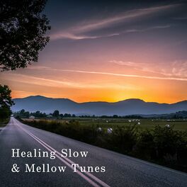 Album cover of Healing Slow & Mellow Tunes