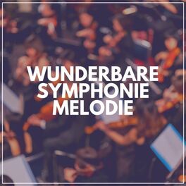 Album cover of Wunderbare Symphoniemelodie