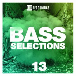 Album cover of Bass Selections, Vol. 13