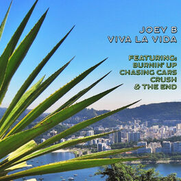 Album cover of Viva La Vida