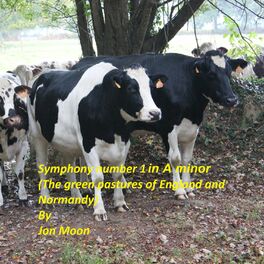 Album cover of Symphony Number 1 in A Minor (The Green Pastures of England and Normandy)