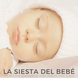 Album cover of La Siesta Del Bebé: Una Relajante Atmósfera De Selva Tropical Para Tu Bebé