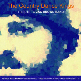 Album cover of Tribute to Zac Brown Band