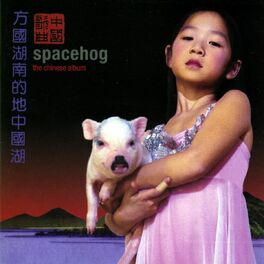 Album cover of The Chinese Album
