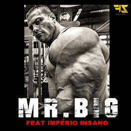 Album cover of Mr. Big
