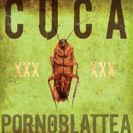 Album cover of Pornoblattea