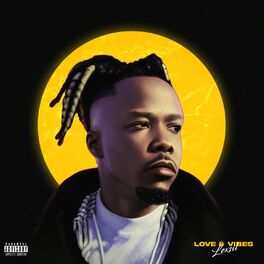 Album cover of Love & Vibes