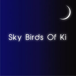 Album cover of Sky Birds Of Ki EP