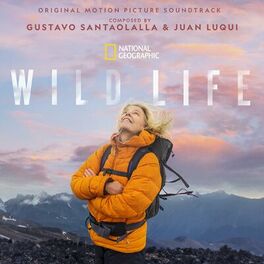 Album cover of Wild Life (Original Motion Picture Soundtrack)
