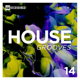 Album cover of House Grooves, Vol. 14