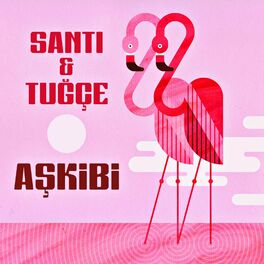 Album cover of Aşkibi