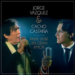 Album cover of Para Vivir un Gran Amor