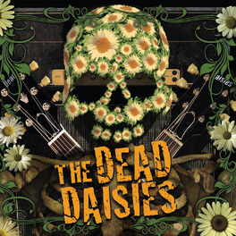 Album cover of The Dead Daisies