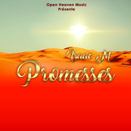 Album cover of Promesses