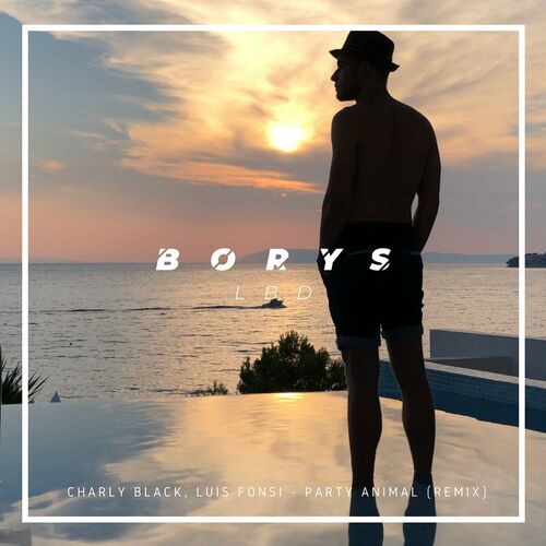 Borys LBD - Party Animal (Remix): lyrics and songs | Deezer